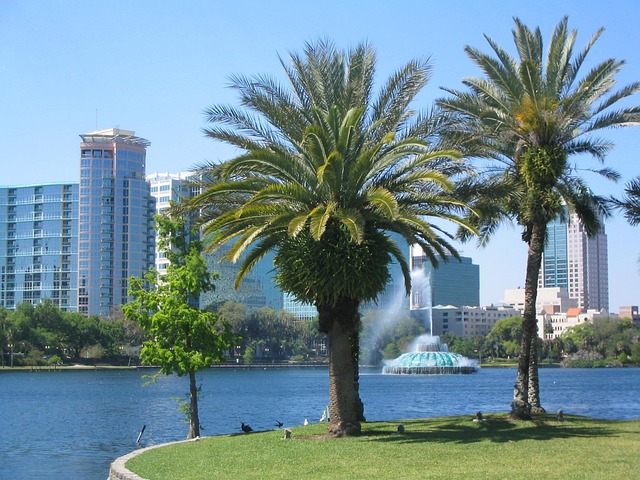 Orlando Fl